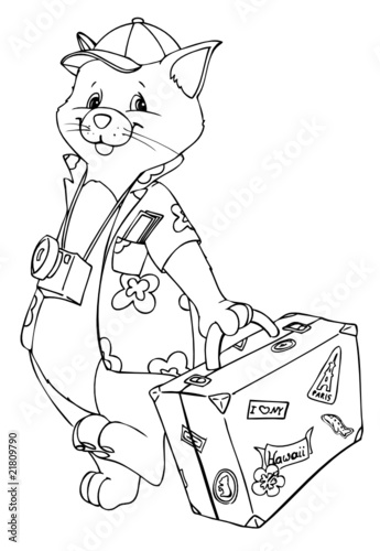 Katze, Kater, Tourist, Urlaub, Reise, verreisen, Ferien