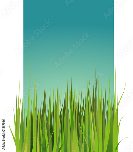 Paisaje cesped1