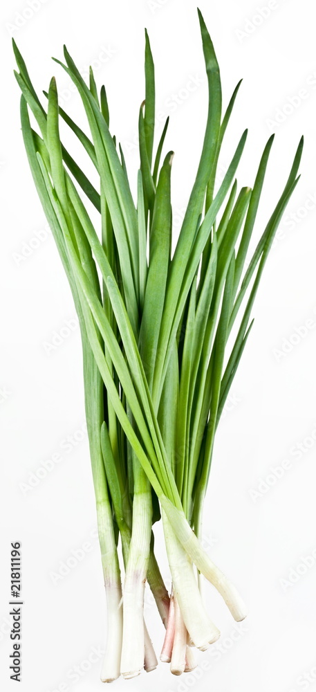 Green onions bunch on a white background