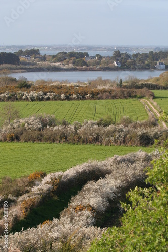 chemin bord de mer bretagne