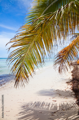 Tropical Beach © Antonio Jorge Nunes
