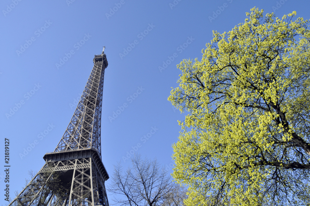 The Eiffel Tower in spring