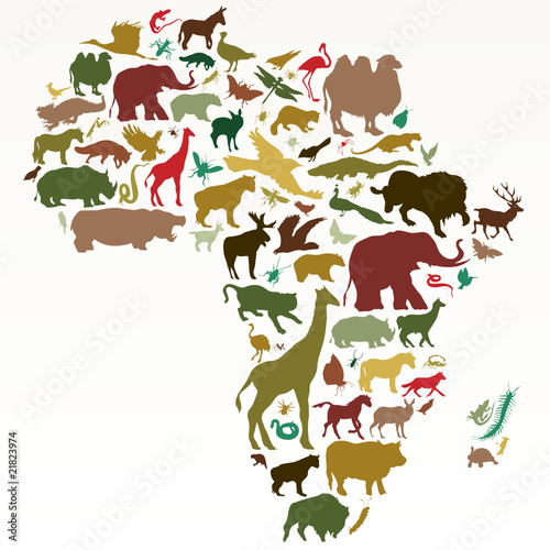 animals of africa