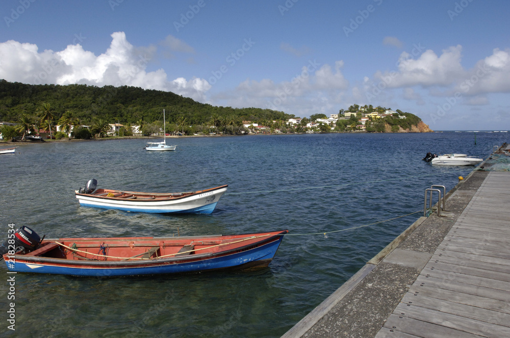 Martinique, la côte à Tartane