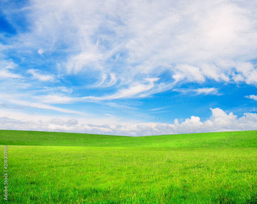 Green grass and blue cloudy sky Green grass and blue cloudy sky