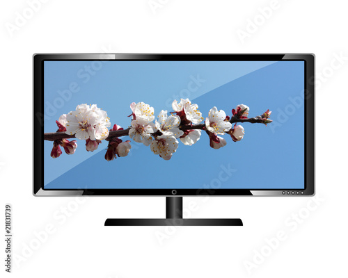 Television.