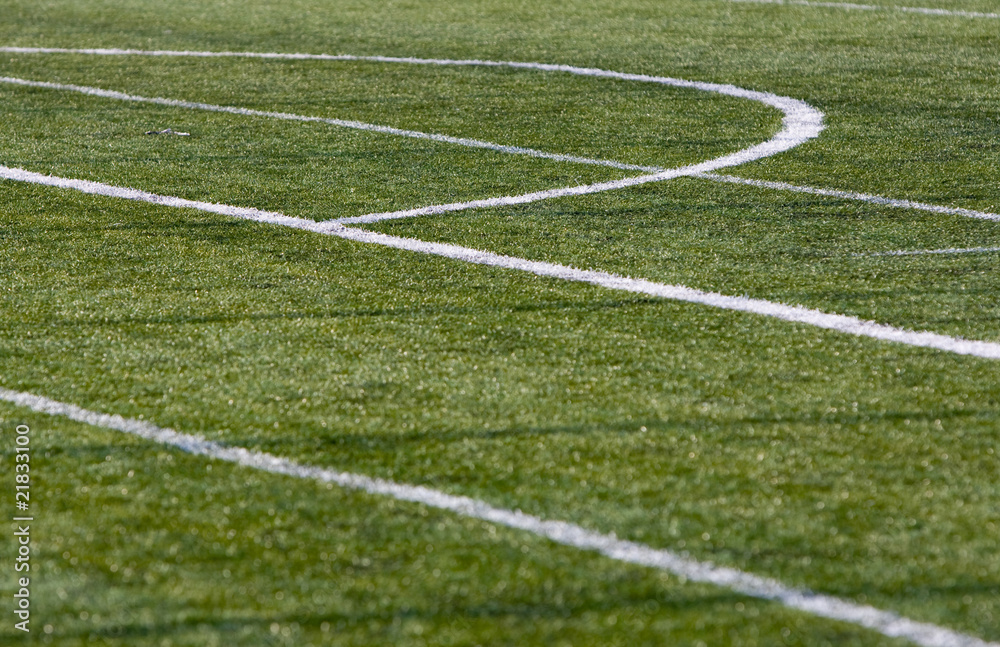 Obraz premium football grass