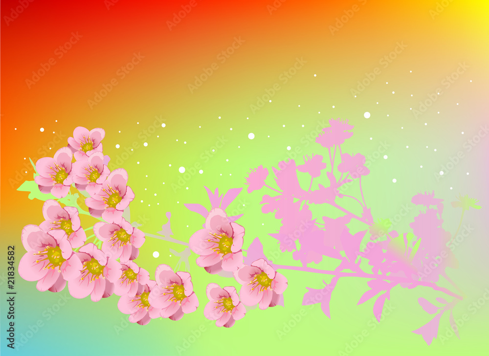 pink cherry flowers on bright background