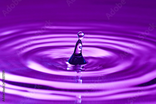 purple droplet splash in clean water