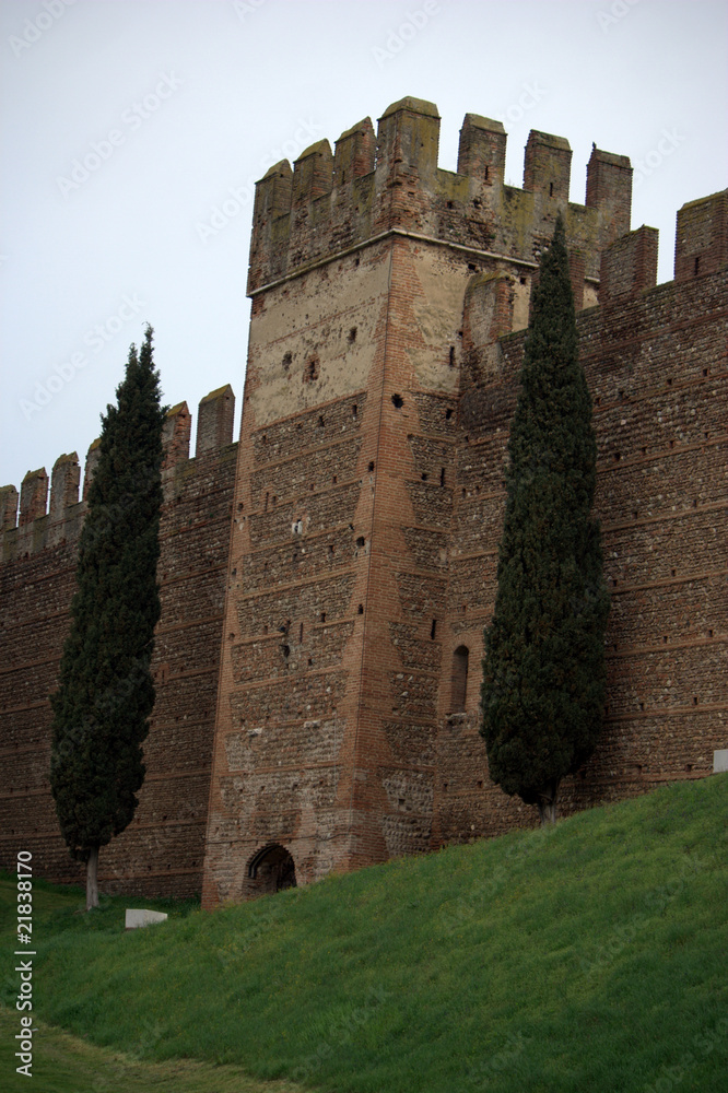 castello medievale di Villafranca veronese