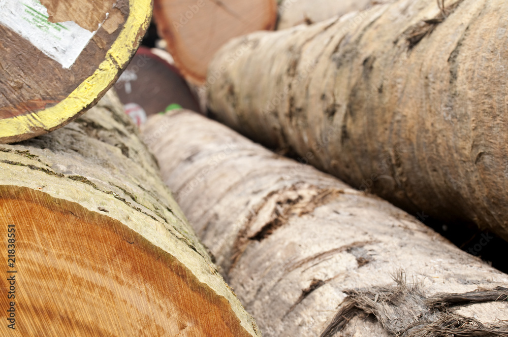 lumber industry lumber industry