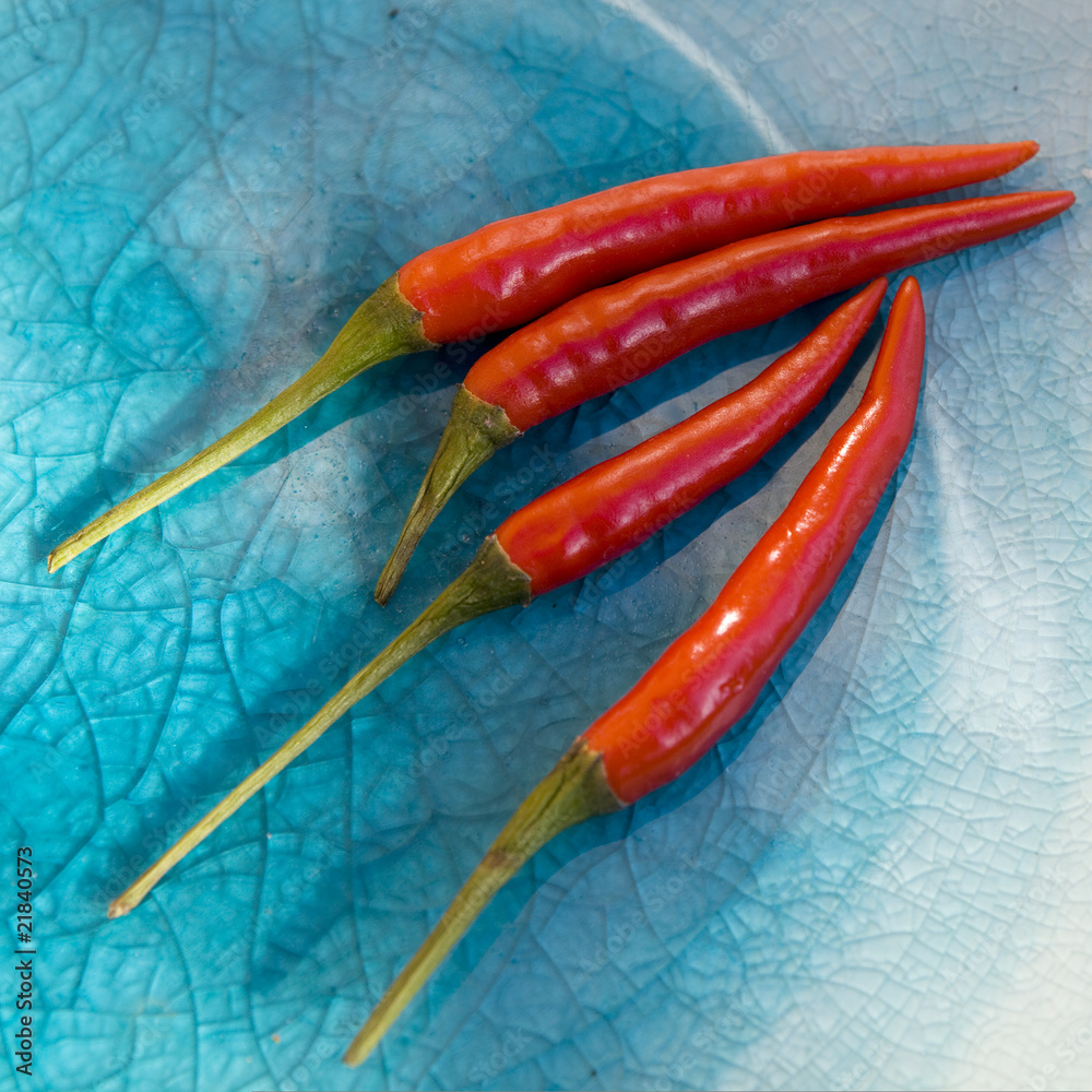 Naklejka premium red chilli on blue plate