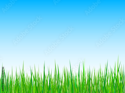 Seamless grass on a blue sky background