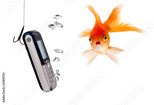 Surprised looking fish