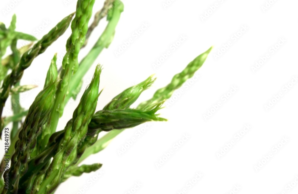 Asparagus Acutifolius Asparagus Acutifolius