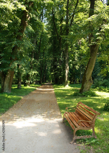 Bench in a park