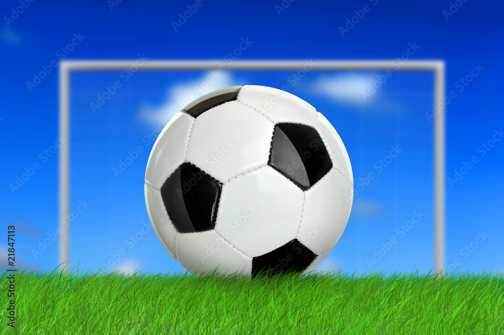 Fototapeta premium Fußball 8