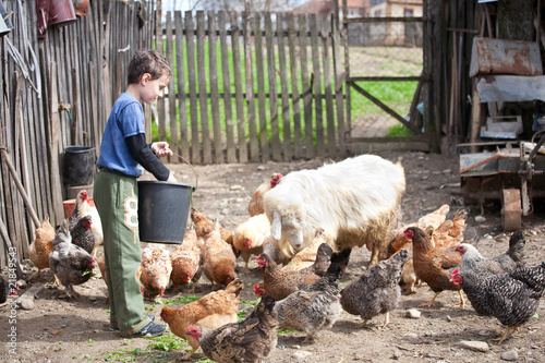 фотографія Country boy feeding the animals