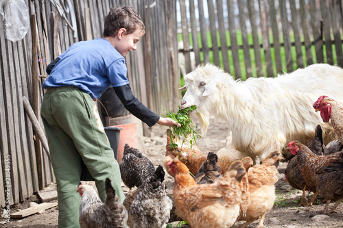 Country boy feeding the animals photo