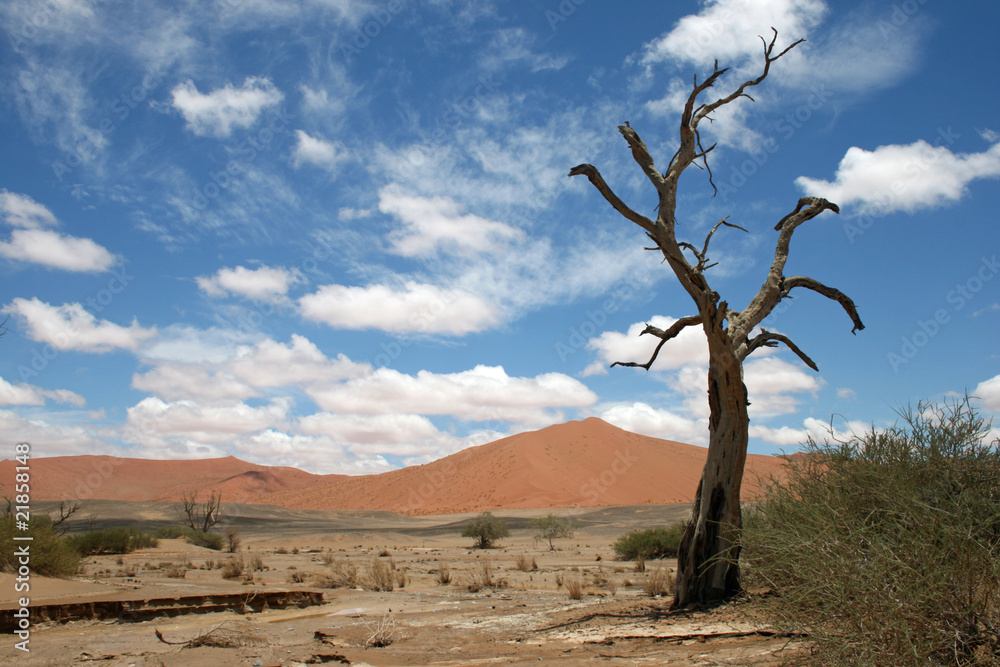 Namib Wüste. Namibia