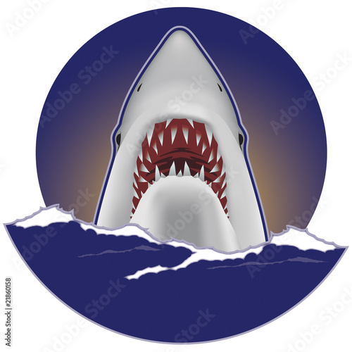 Great white shark