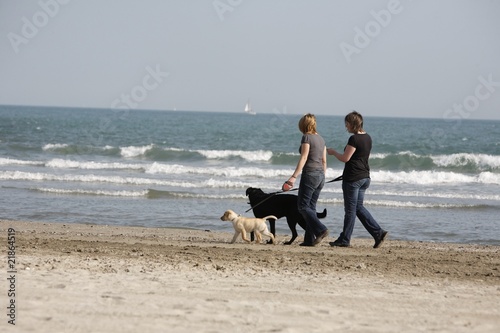 Detente a la plage photo