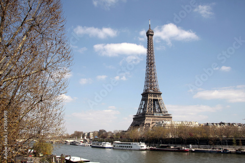 Arbuste et Tour Eiffel