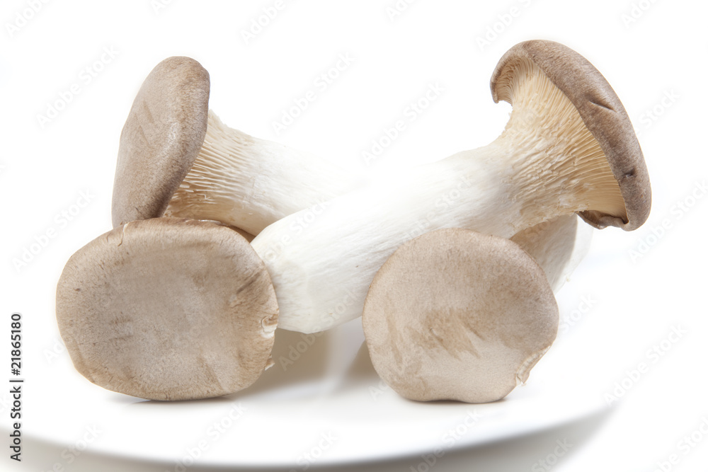 Fototapeta premium FRISCH GEPFLÜCKTE PILZE