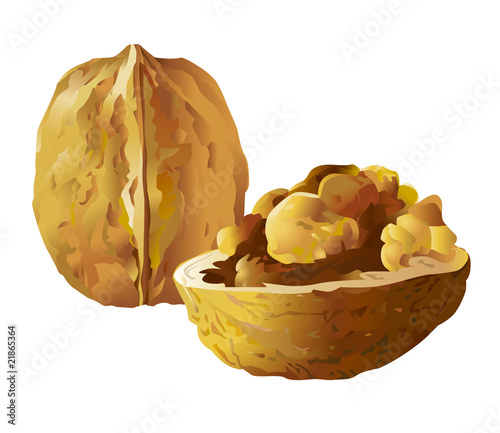 Walnut nuts