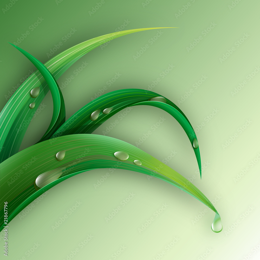 grass 2