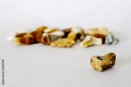 Stone Pebble Group Excluded and Standing Out