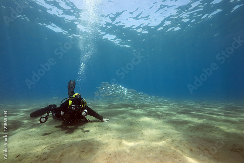underwater photographer and ocean