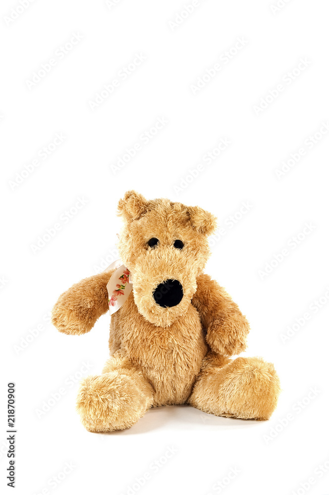 Obraz premium Plush dog