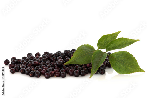 Elderberry Fruit