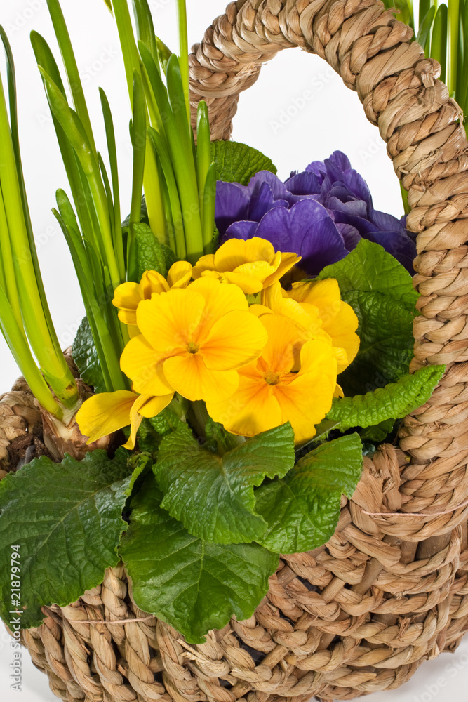 Korb mit Blumen, basket with flowers Stock Photo | Adobe Stock