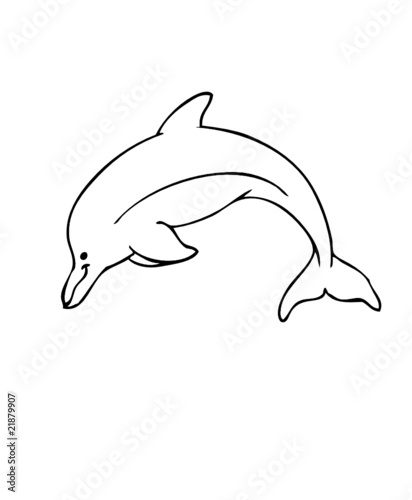 Delfin
