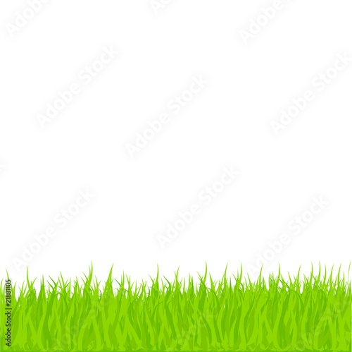 Vector Grass