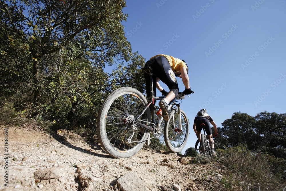 Naklejka premium vtt