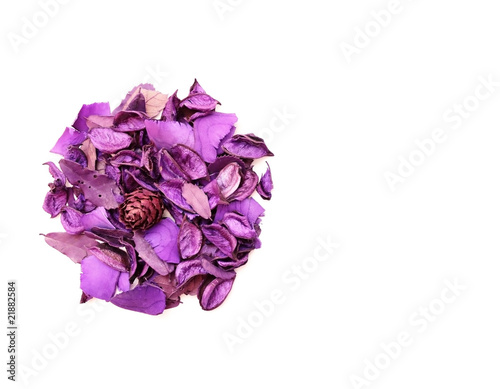 Bright violet dried lavender leaves and cone