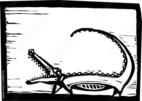 African Crocodile