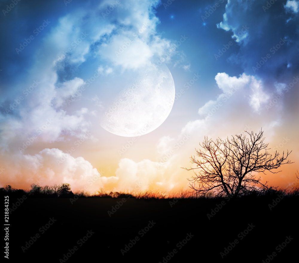 Fototapeta premium Moonlight night