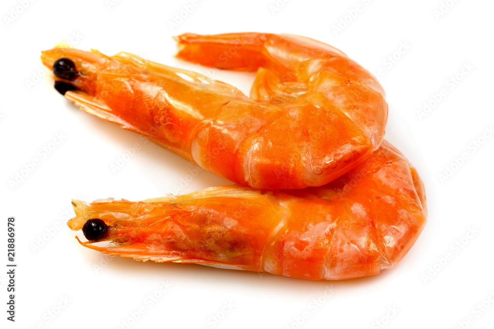 Eastern king prawn , tiger prawn (Penaeus plebejus) Stock Photo Adobe
