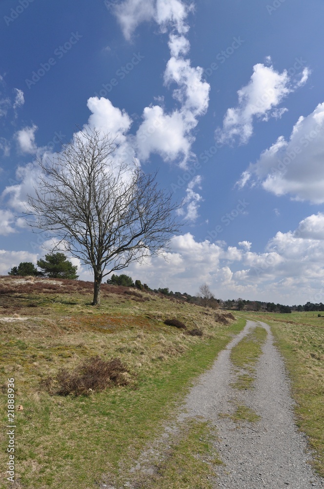 Lüneburger Heide