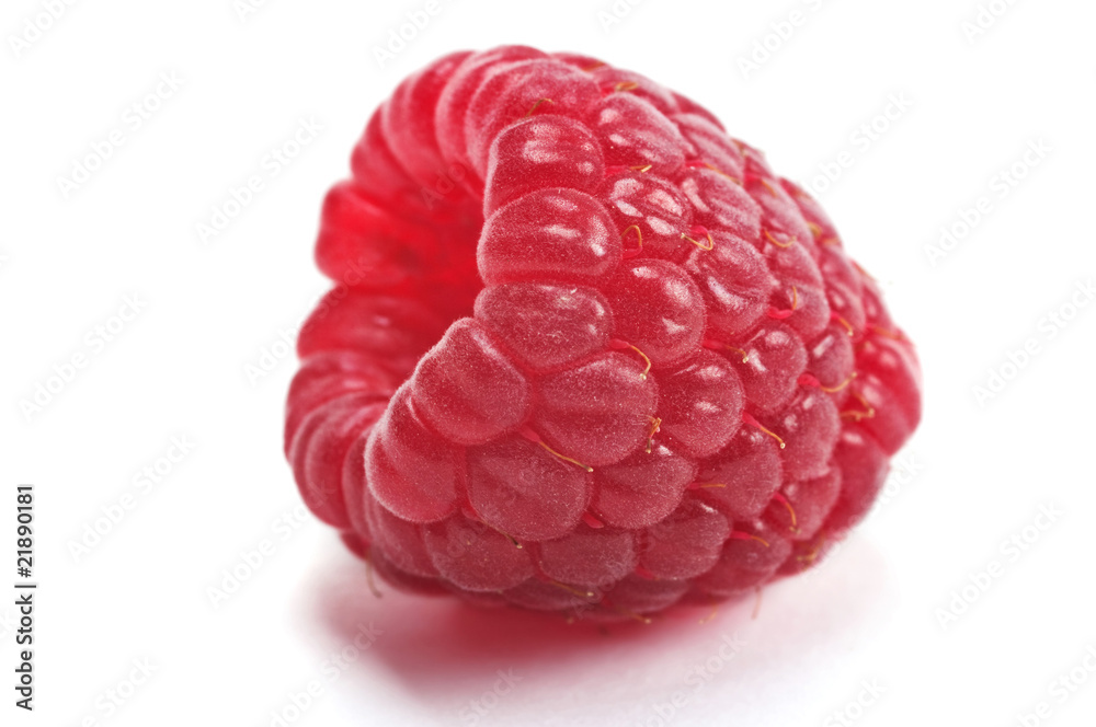 Raspberry Raspberry