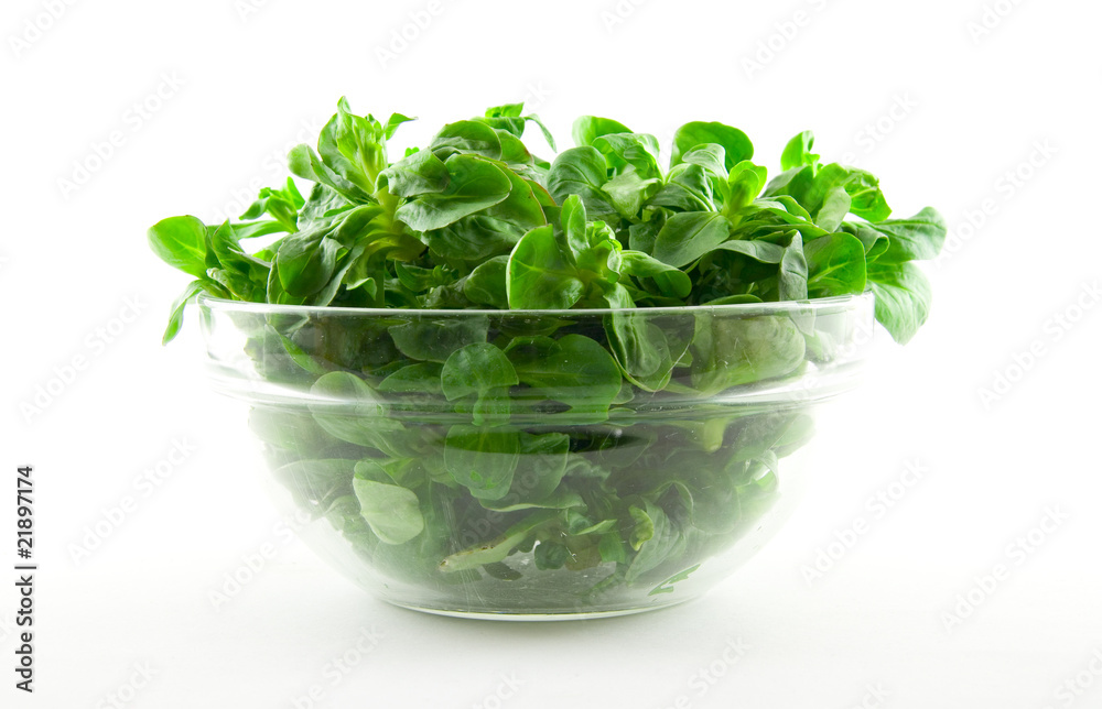 Feldsalat Feldsalat