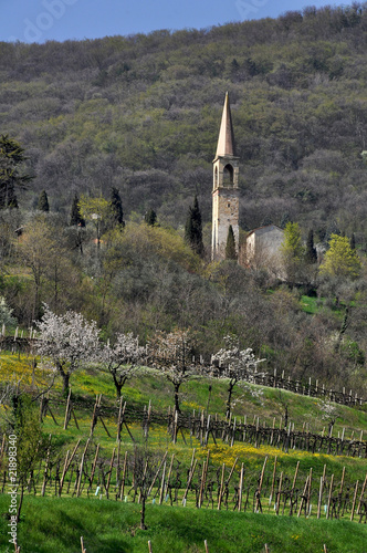 castegnero chiesa provincia di vicenza veneto