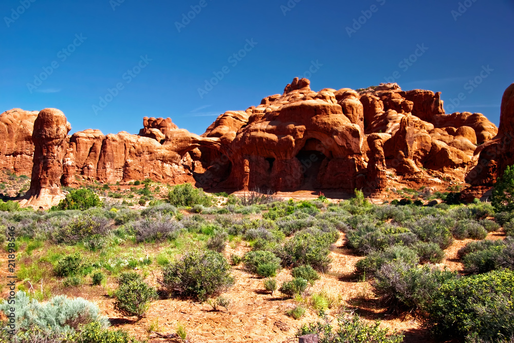 Fototapeta premium Sunny day in Arches Canyon. Utah. USA