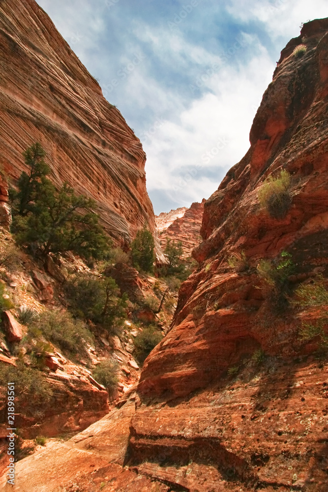Reliefs of Zion canyon. Utah. USA