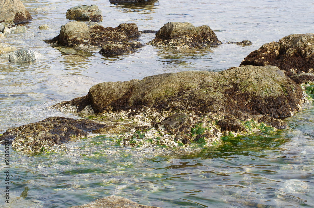 Sea stones in a surf Sea stones in a surf