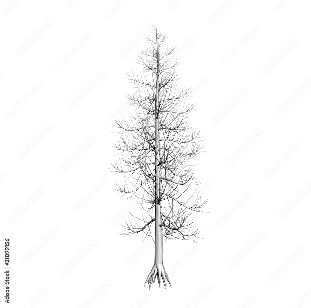 Obraz premium Dead tree on a white background.